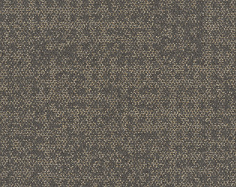 [300111169_3] Wheler Street - 105649 Concrete Square